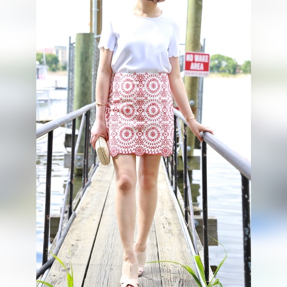 LOFT Dresses & Skirts - Ann Taylor LOFT Eyelet Embroidered Medallion Mini Skirt Women's Size 12